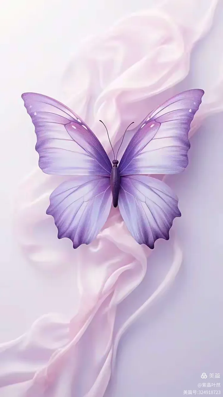 蝴蝶:呼应你优雅的翅膀薄如蝉翼我用浪漫的的紫色双双精致旖旎朝阳为